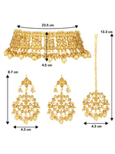 Royal Heritage Pearl Choker Set. Gold kundan & pearl jewellery set with maangtikka and earrings. Best selling & Prefect for your wedding, bridal & special occasion looks.