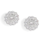 Elegant Crystal Floral Stud Earrings