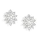 Timeless Sparkling CZ Leaf Cluster Set - Silver