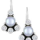 Drop Earrings – Stylish & Sophisticated Jewellery for Women | Peora
