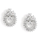 Exquisite Floral CZ Stud Earrings - Silver