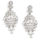 Sparkling CZ Cascade and Floral Earrings