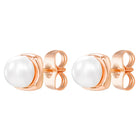 Peora Pearl Glow Stud Earrings - Rose Gold