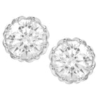 Peora Rhodium Plated Crystal Stud Earrings