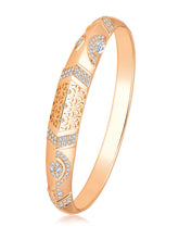 Dazzling Aura CZ Golden Kada