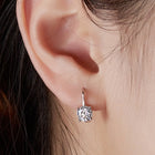 Rhodium Plated CZ Regal Earrings