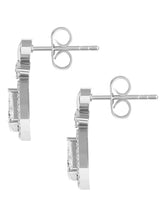 Charming Heart Teardrop Dangle Earrings