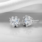 White Stone Halo Silver Stud Earrings